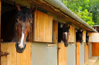 free Openwoodgate stable construction quotes
